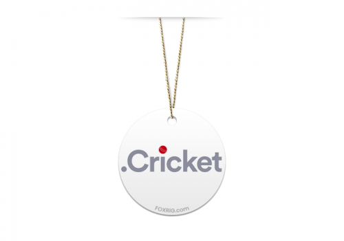 .CRICKET